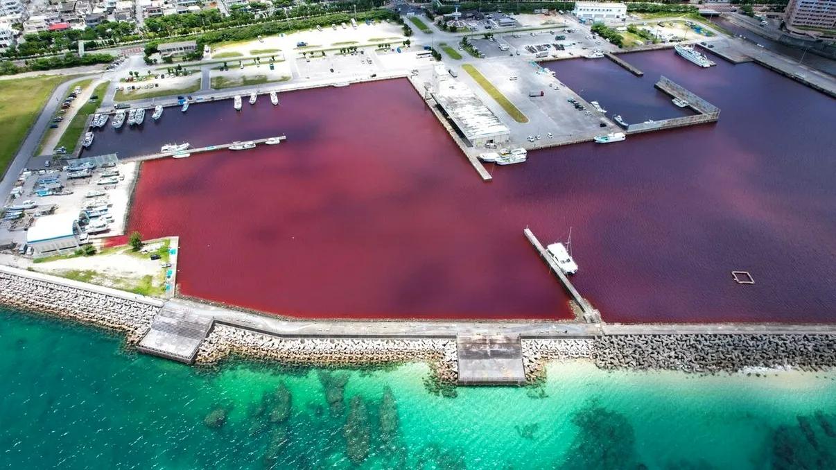 O fabrică de bere, acuzată că a colorat apa mării în roșu: cum se apără compania