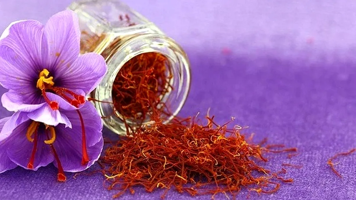 ”Aurul roşu”, afacere cu noroc pentru doi români. Dorina şi Claudiu au dat lovitura, kilogramul se vinde cu sume uriaşe