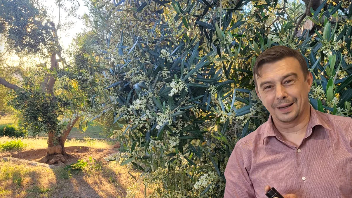 Afacerea românească cu care a dat lovitura un craiovean. A luat deja medalii importante și se vinde și cu 300 de lei, deși nu se cultivă în România