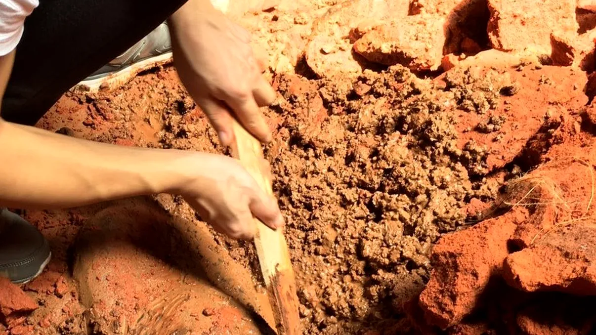 Secretul de 100 de ani îngropat într-un parc. Oamenilor de știință nu le-a venit să creadă. ”Legenda era adevărată”