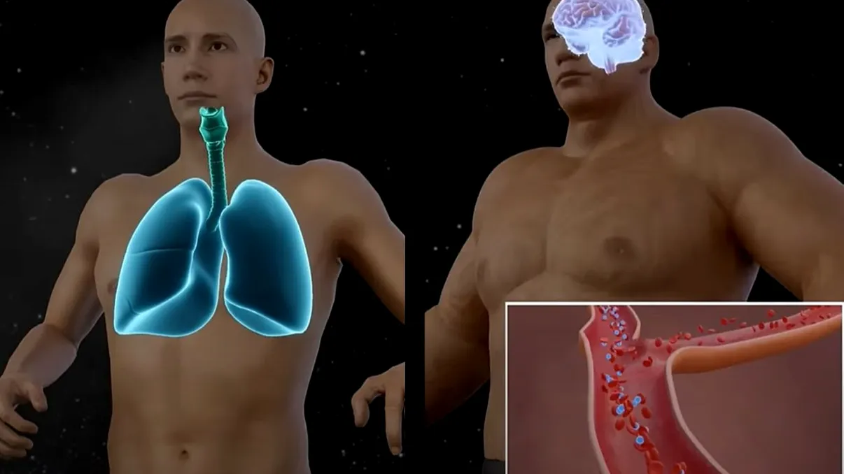 Ce i s-ar întâmpla unui om fără costum spațial în cosmos. Video