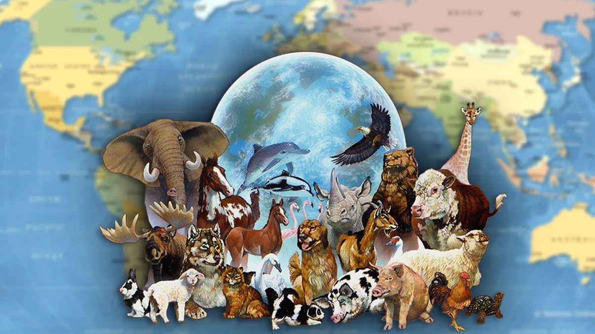 Cum poți da numele tău unei noi specii de animale ori plante. Ce condiții trebuie îndeplinite, s-ar putea să vrei să încerci