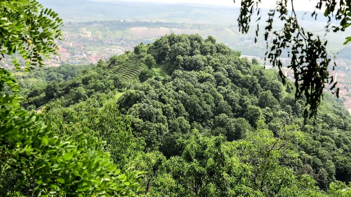 Descoperire importantă în România. Ce au găsit arheologii în Măgura Șimleului