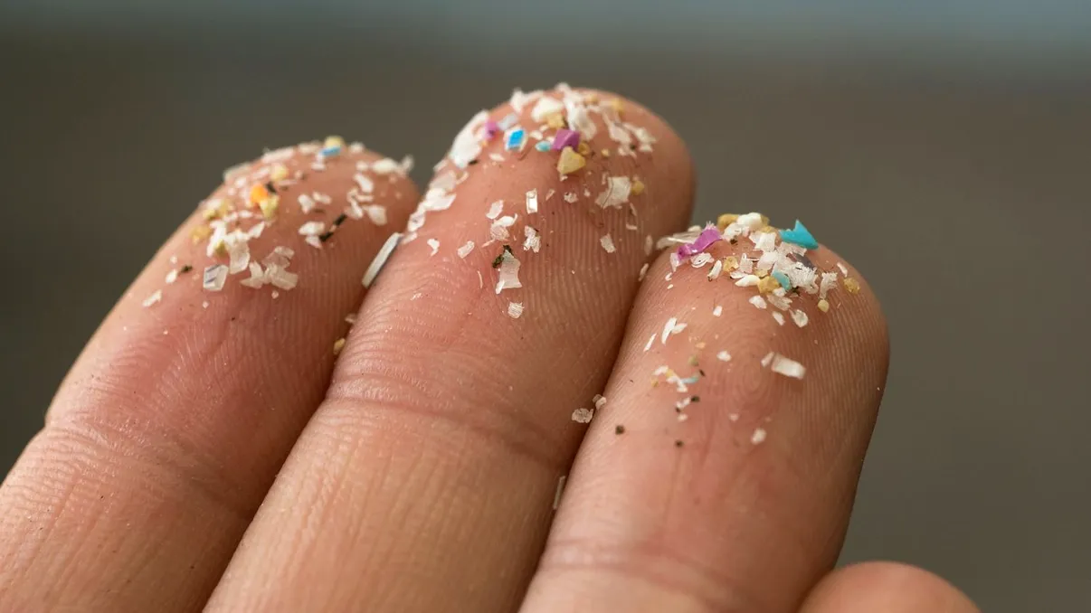 Semnalul de alarmă îngrijorător al oamenilor de știință: mii de microplastice descoperite în țesutul inimii umane