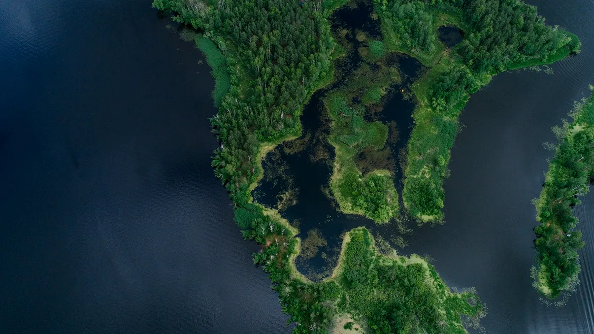 Cum arătau primele forme de viață care au apărut pe uscat. Au existat în urmă cu 407 milioane de ani