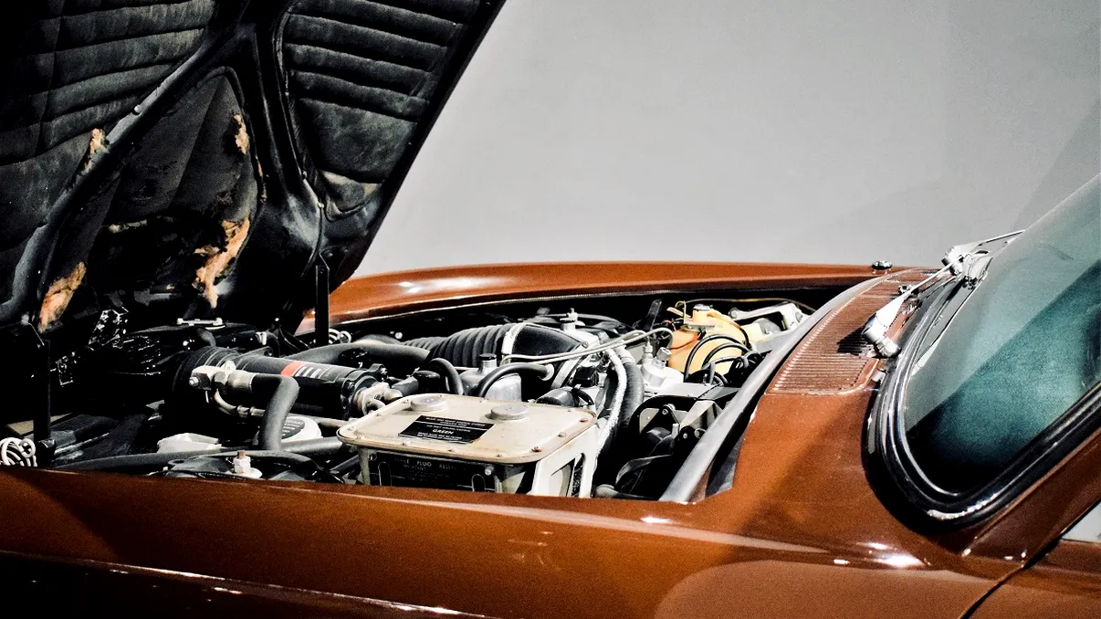 Descoperire terifiantă sub capota unei mașini. Ce a găsit o tânără când a vrut să pună ulei