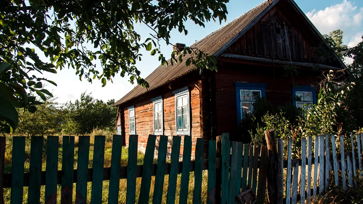 Descoperire uimitoare în grădina unei case. „Am ajuns să dăm tot pământul la o parte” - Foto