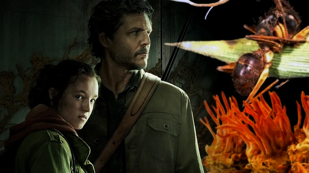 Premieră medicală nedorită: primul caz de om infectat cu o ciupercă. Scenariul din ”Last of Us” ar putea deveni realitate, ce spun specialiștii