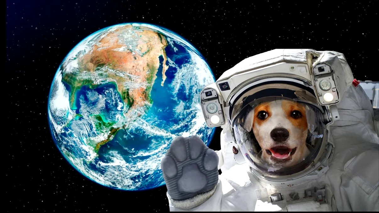 NASA a generat în doi ani suficient oxigen pentru ca un câine mic să respire 10 ore pe Marte: ce planuri are agenția spațială