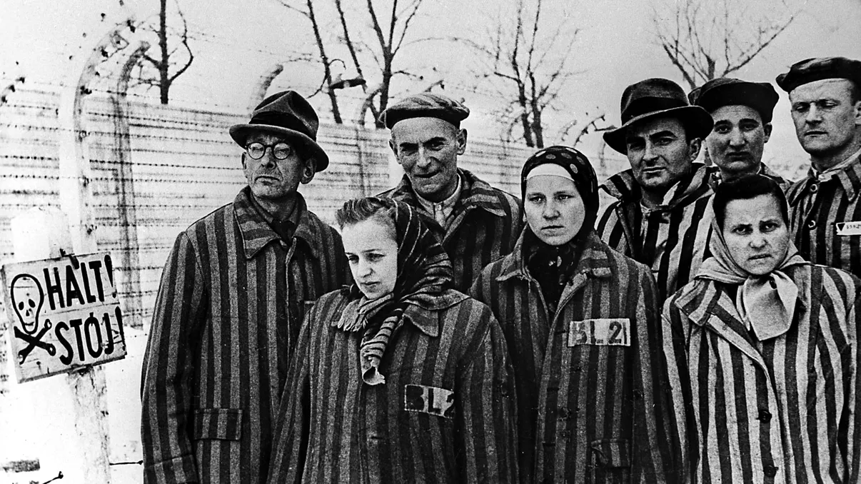 Scrisoarea care demonstrează că Biserica știa de ororile comise de naziști. Cum s-a prefăcut Papa Pius al XII-lea că Holocaustul nu există
