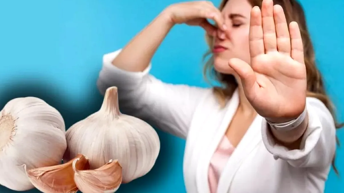 Cum scăpăm de mirosul de usturoi din respirație. Ce au descoperit oamenii de știință, legătura cu lactatele