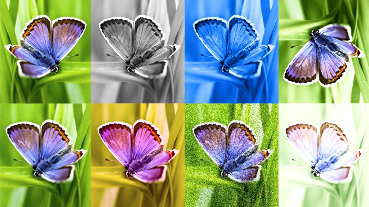 Cât de mult te ajută un watermark pe o fotografie, de fapt. Inteligența artificială, pusă la grea încercare