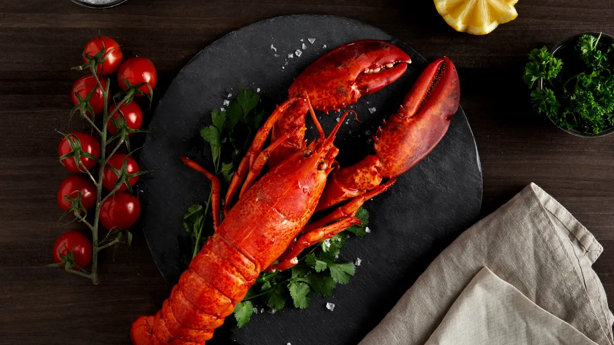 Descoperire uimitoare. Un homar de culoare neobișnuită, găsit de pescari. „Șansele sunt de una la două milioane” - Foto