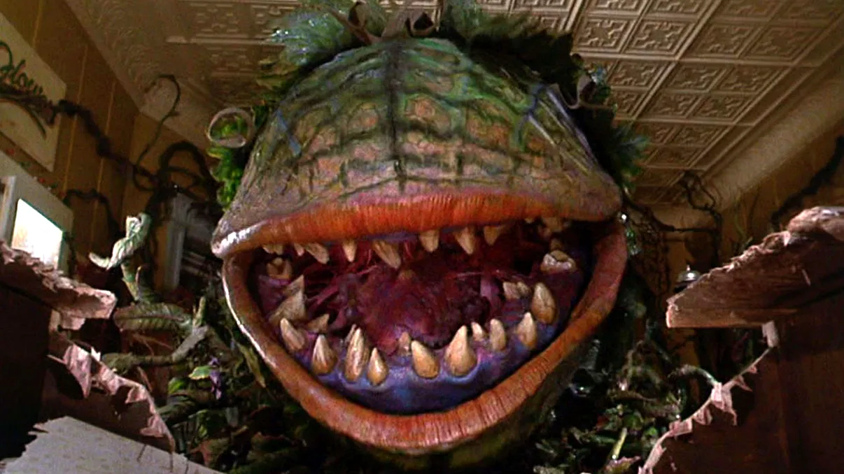 Pot plantele carnivore să mănânce oameni? Concluzia cercetătorilor