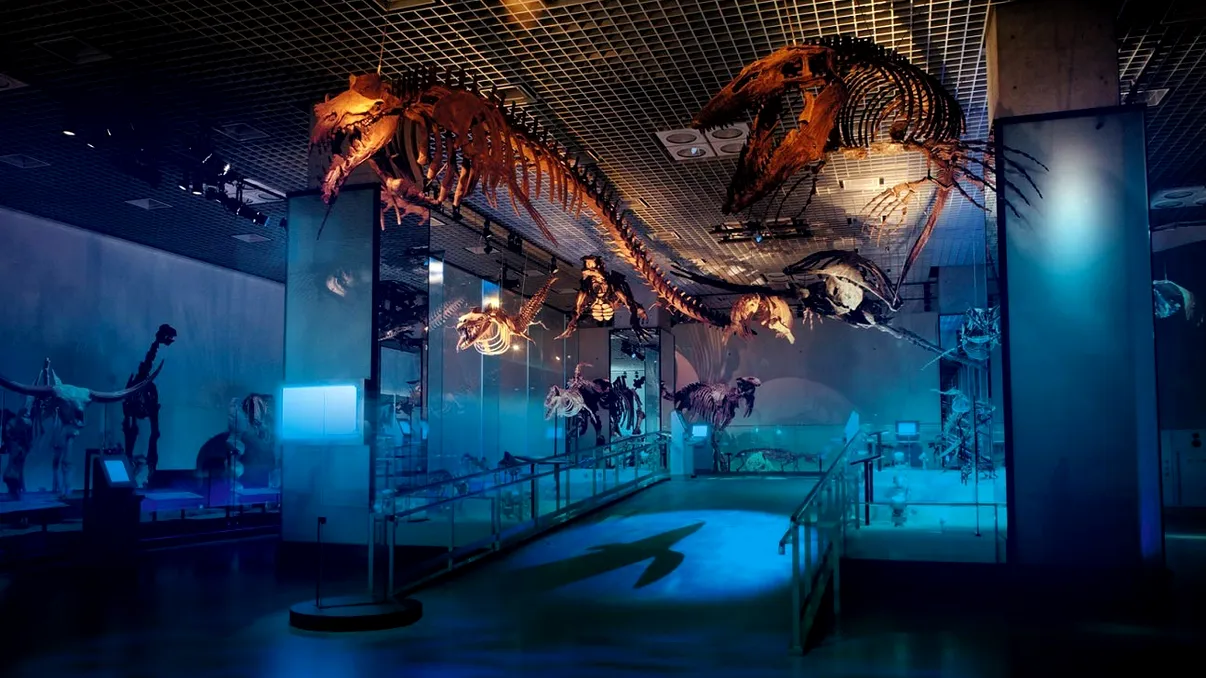 Descoperirea uimitoare din Japonia:„Dragonul