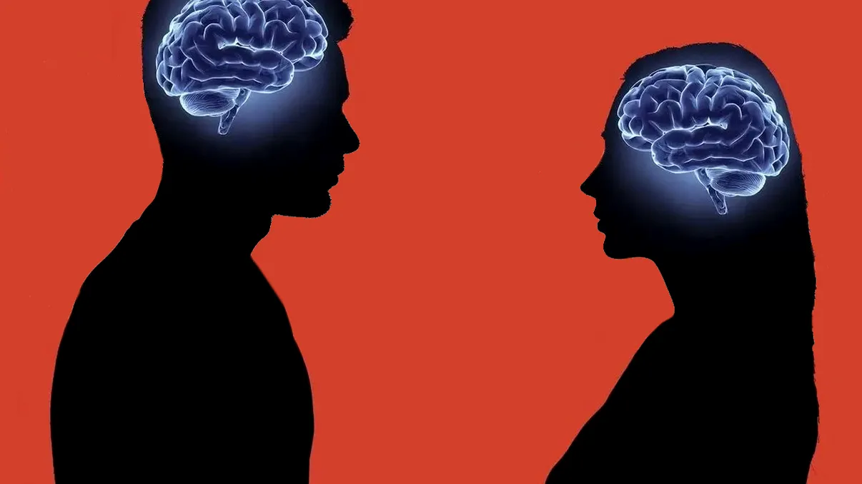 Există o diferență între creierul bărbaților și cel al femeilor? Ce spun neorologii și ultimele cercetări