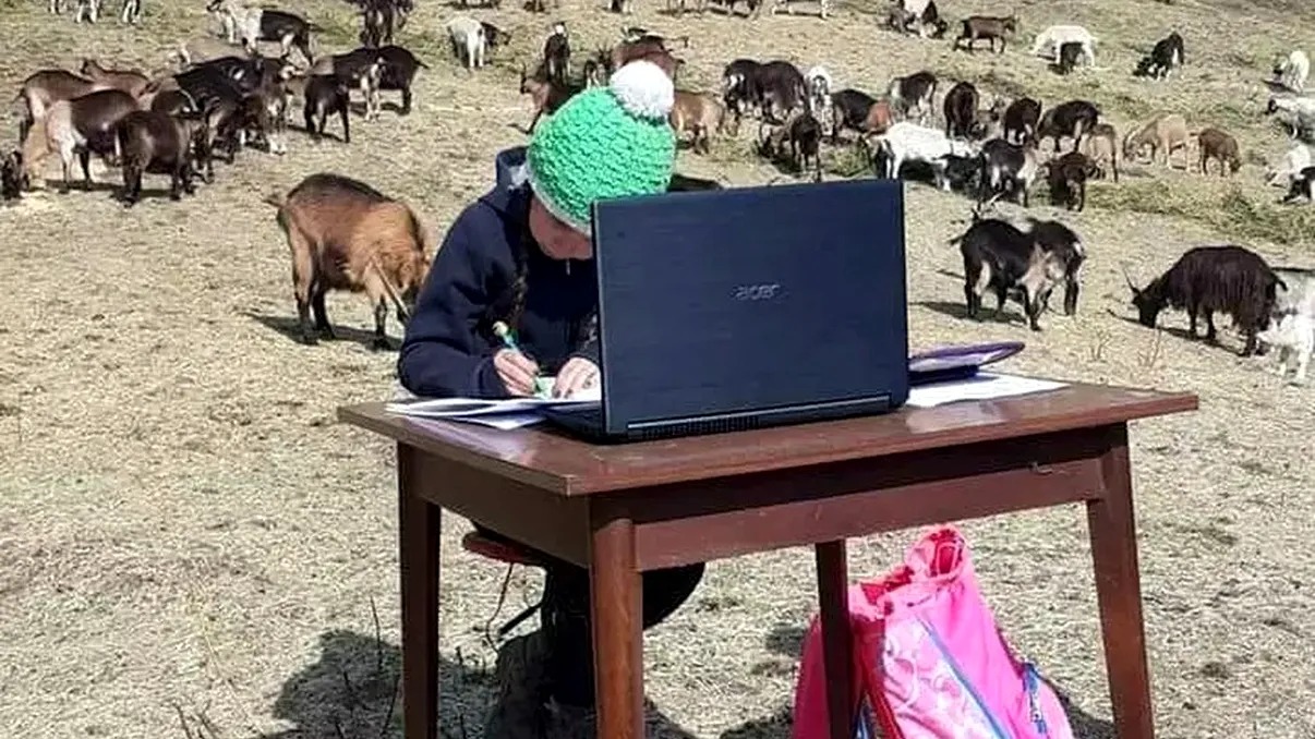 Povestea copilului care făcea școală printre 350 de capre, în vârf de munte. Așa arată puterea exemplului și de ce nu ar trebui să renunți niciodată