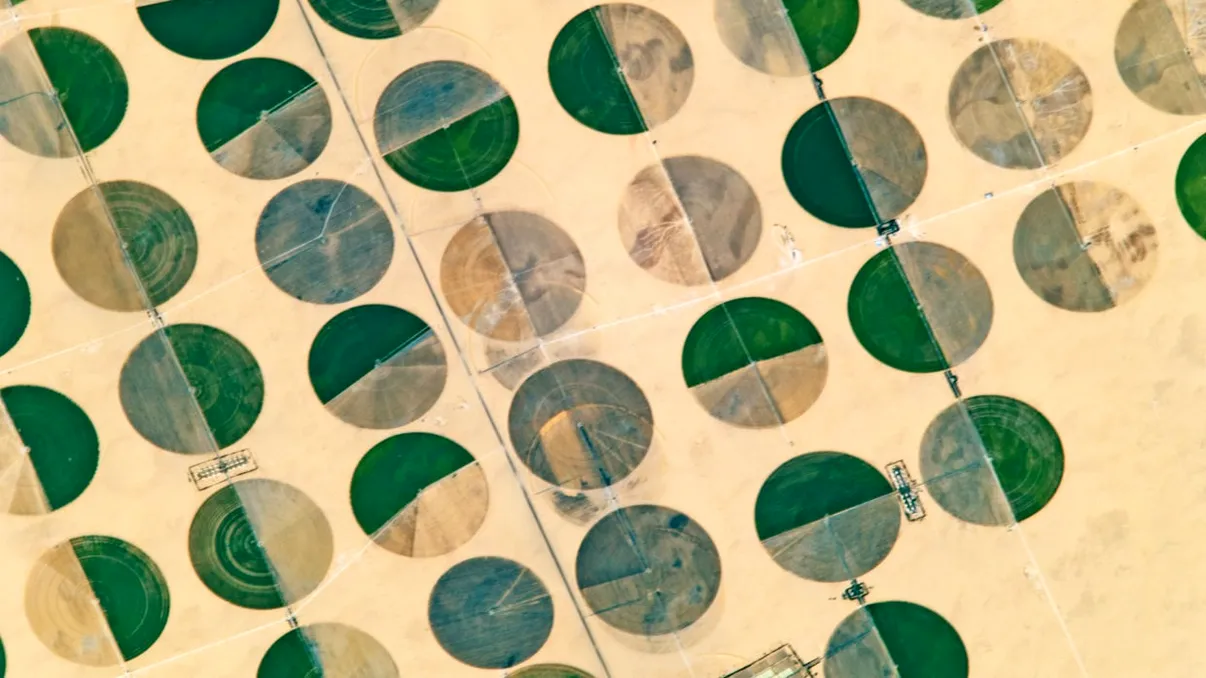 Ce sunt cercurile verzi și misterioase din deșertul Egiptului, de fapt. Când oamenii se comportă ca extratereștrii [VIDEO]