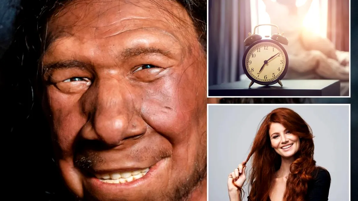 Cele 6 trăsături care arată că ai ADN de Neanderthal. Legătura cu persoanele matinale