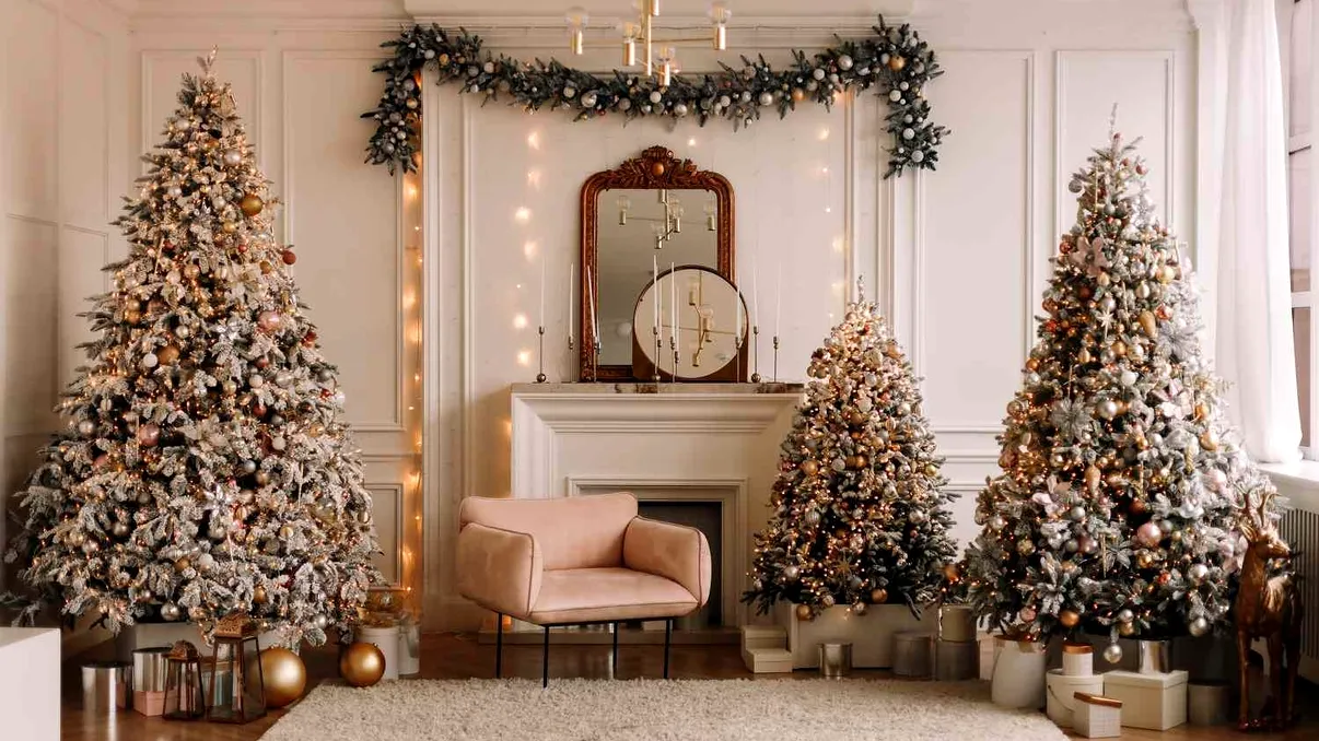 O nouă viață pentru pomii de Crăciun, după sărbători. Inițiativa, apreciată de specialiștii de mediu