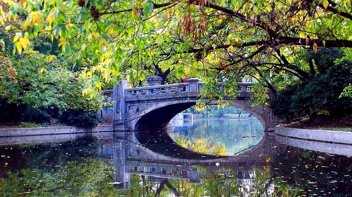 Aliatul împotriva încălzirii globale. Ce trebuie să aibă toate marile orașe din România pentru a potoli canicula