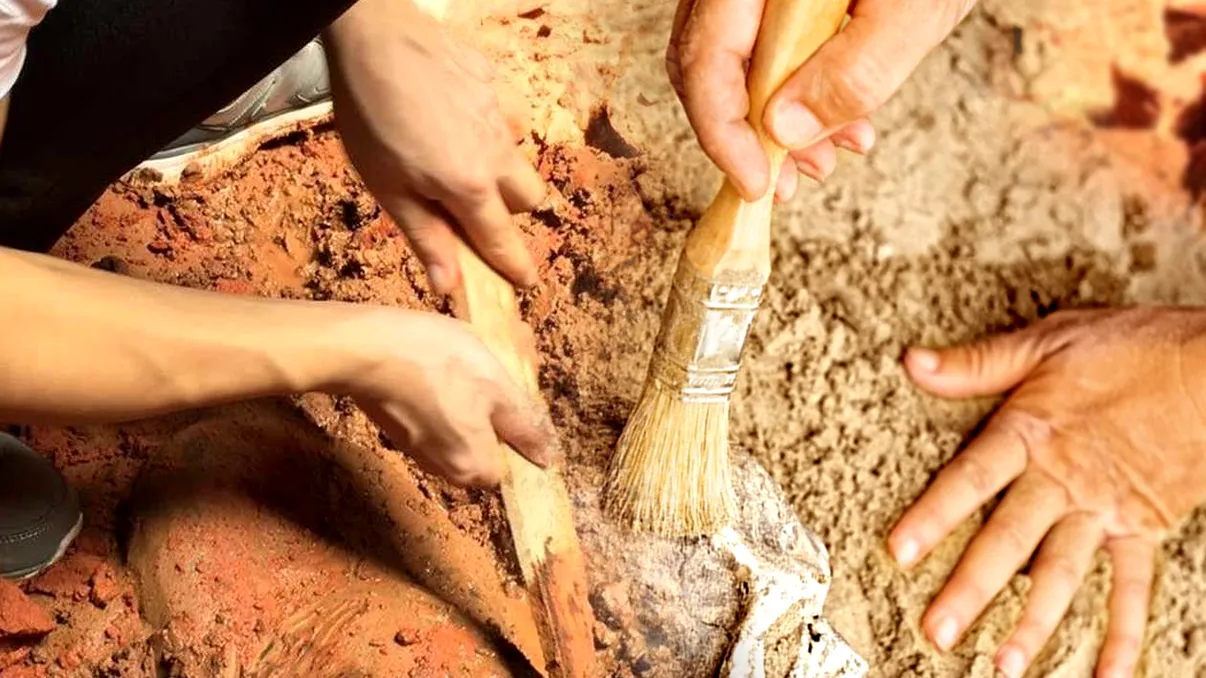 Descoperire arheologică uimitoare în Tulcea: Prăbușirea unei case dezvăluie o structură misterioasă din secolul al IV-lea