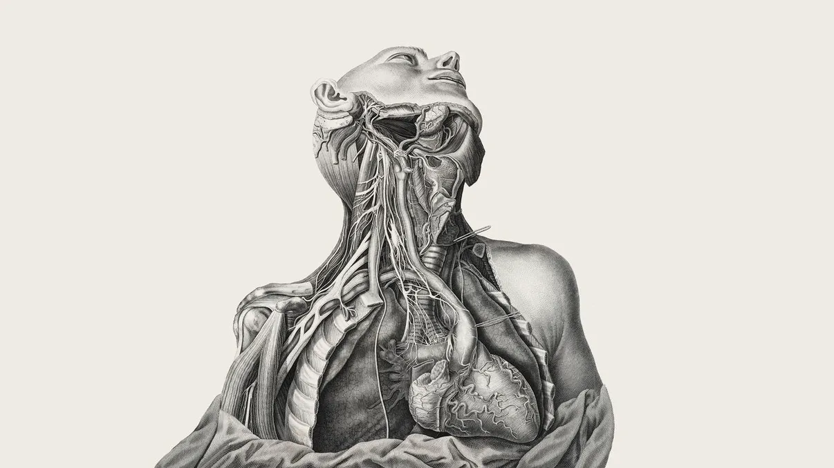 Cum învățau oamenii din Antichitate anatomie: Sacrificiile făcute de dragul medicinei