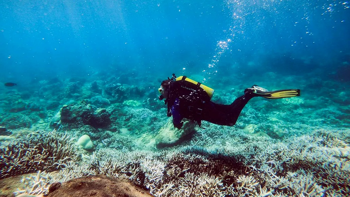 Misterul piramidei descoperite pe fundul Oceanului Atlantic: O minune inginerească a unei civilizații antice sau un simplu joc al naturii?