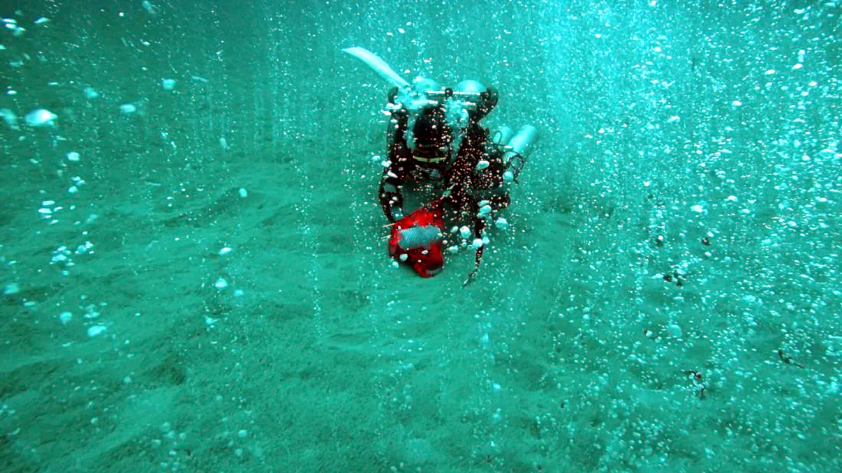 O lume ascunsă cu creaturi nemaivăzute, descoperită în adâncurile mării din jurul Insulei Paștelui