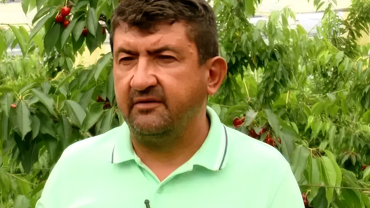 Investiția de doar 200 de euro care i-a salvat afacerea lui Viorel. I-a adus din Olanda și sunt o mină de aur pentru mulți români