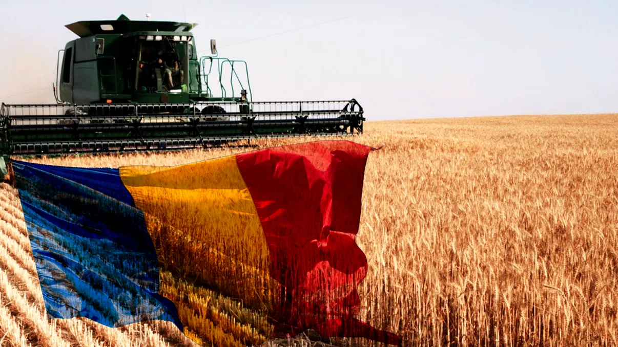 România e grănarul Europei, dar luăm fața tuturor la importuri de porumb, mere, conserve și nu numai. Misterul industriei alimentare din țara noastră