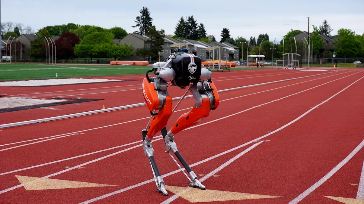 De ce nu pot roboții să alerge foarte repede în 2024. Explicația din spatele unui fenomen aparent bizar