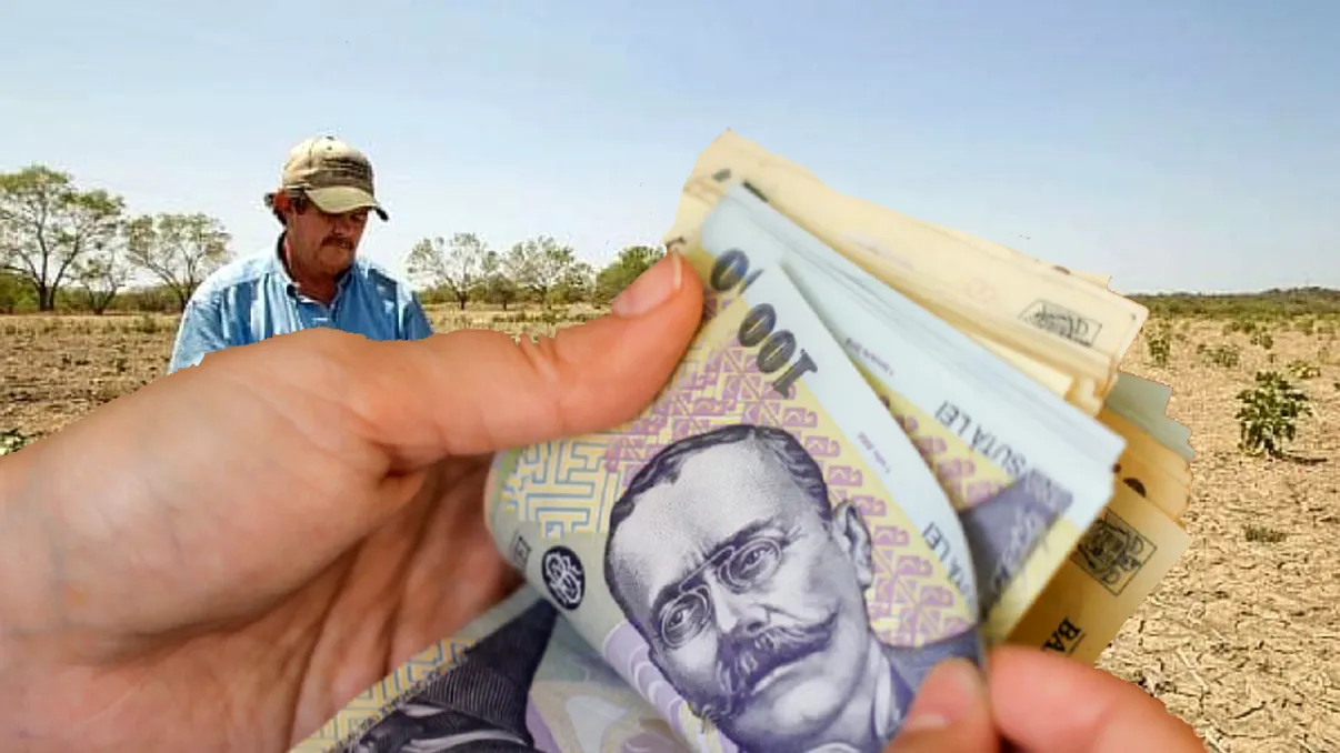 ANAF pune tunurile pe mici fermieri din România. Noua taxă de la 1 iulie 2024 lovește din plin producătorii agricoli