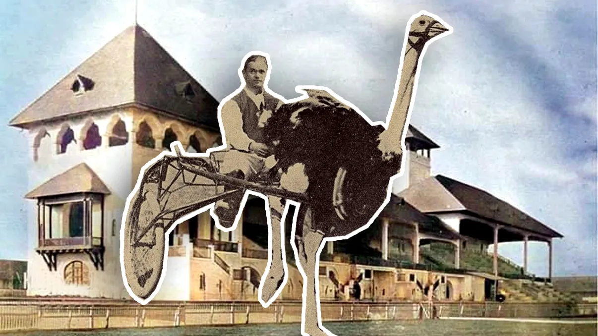 Ziua când struții au luat locul cailor în București. Hipodromul Floreasca, locul unde odinioară se distrau românii, astăzi e doar amintire VIDEO