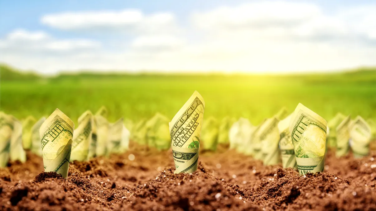 Până la 1,5 milioane de euro în fonduri nerambursabile pentru fermierii români. Ce trebuie să faci, culturile privilegiate