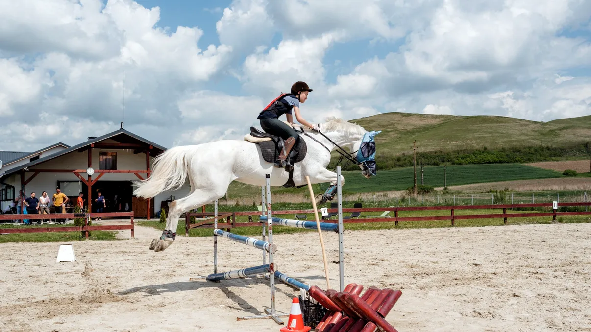 Evoluția echitației în România: Sportul în care animalul și omul sunt una și aceeași ființă