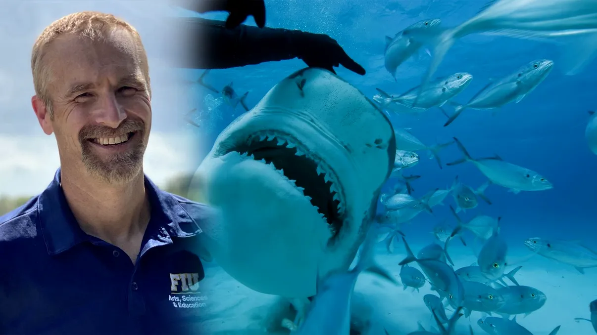 INTERVIU Nou sezon din 