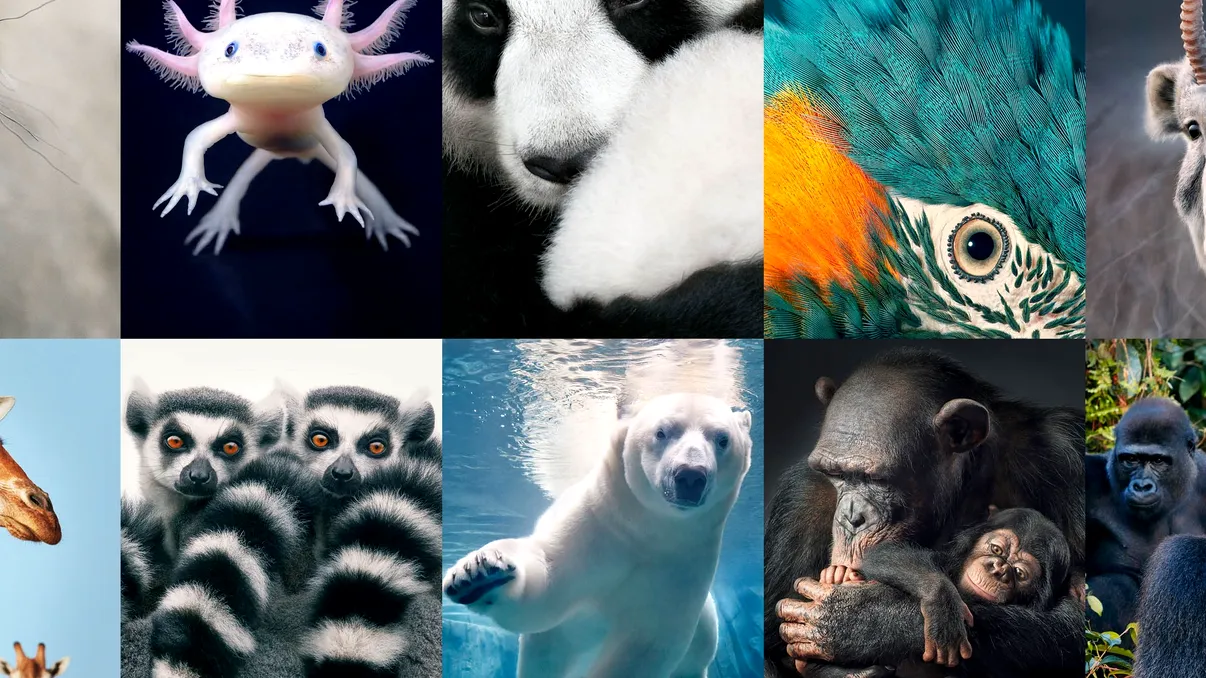 Cel mai mortal animal, imposibil de ghicit: Cât de periculos este, se află chiar în preajma ta