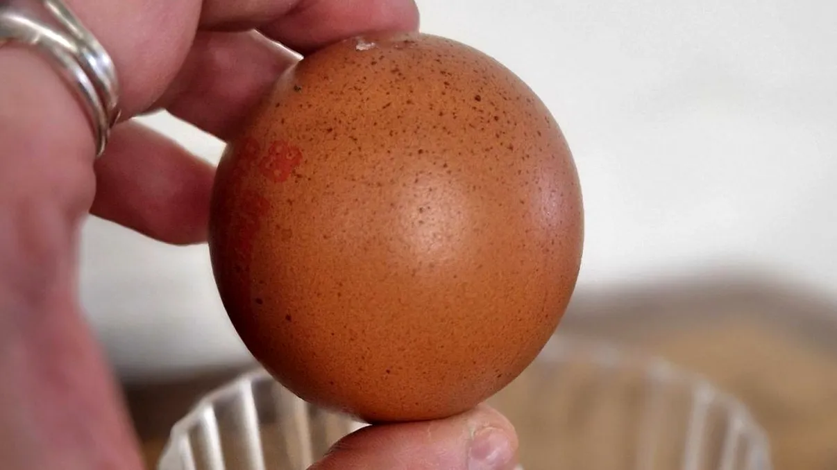 O descoperire rară: Oul perfect sferic, găsit de o femeie la supermarket. Este unul la un miliard, cât costă la licitație