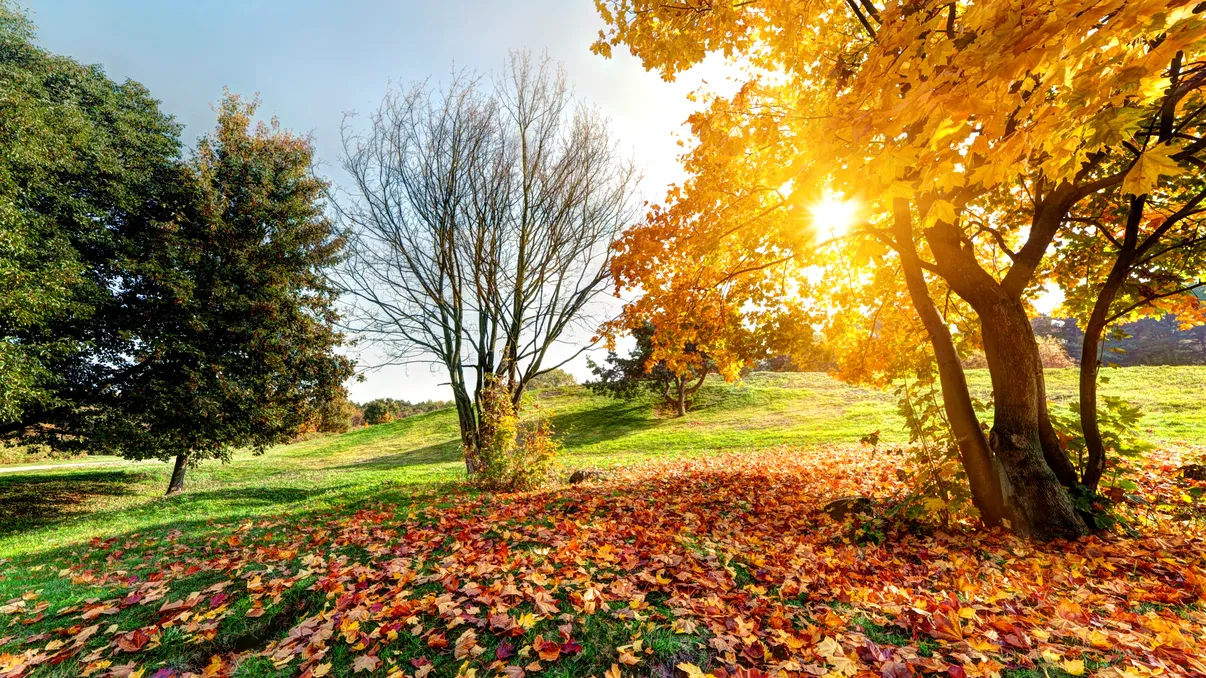 Revine vara în România. Un val de aer cald traversează țara noastră. Zonele în care maximele ajung și la 32 de grade Celsius