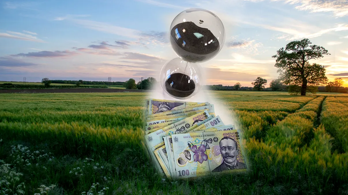 Toți românii care au o bucată de pământ trebuie să știe noul mecanism de subvenții. Cum iau bani de la stat după noua lege