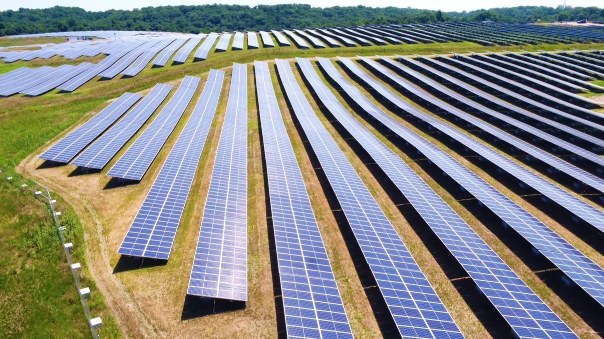 Cel mai mare parc fotovoltaic din România, blocat de activiștii de mediu. Explicația pentru ”dezastrul” care ai crede că salvează planeta