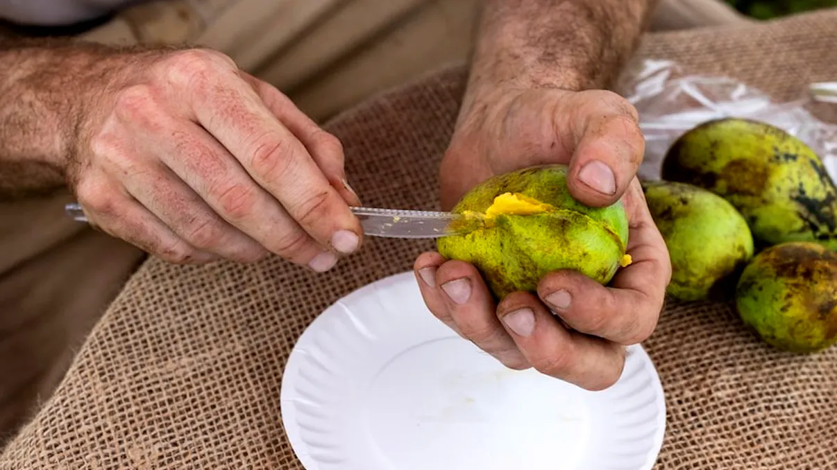 Fructul care ar putea înlocui merele și piersicile într-un viitor mai cald și arid. Pawpaw, soluția agricultorilor pentru schimbările climatice