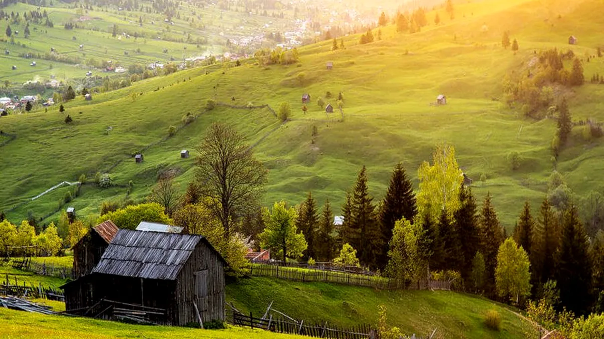 Un loc ascuns în Bucovina ce merită văzut toamna. Rezervația naturală are izvoare, iar pe stânci crește floarea de colț