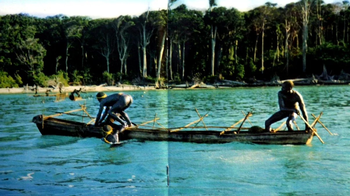 Insula misterioasă care găzduiește „cel mai periculos trib din lume” și de ce turiștii au interdicție de a o vizita