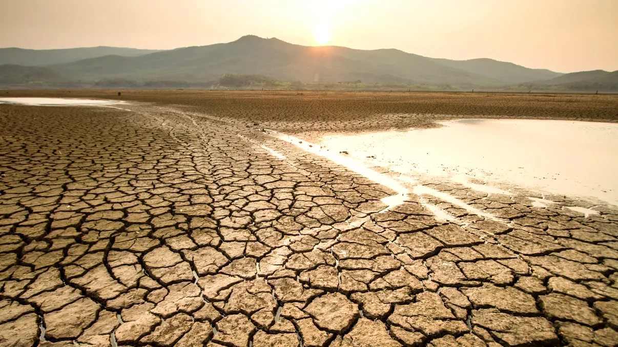 Avertisment sumbru pentru agricultură: Europa riscă să rămână fără terenuri arabile până în 2050