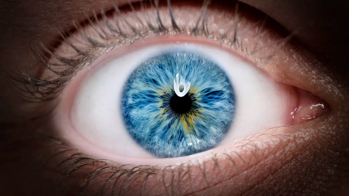 Testul care îți pune la încercare percepția culorilor: Cât de bine poți să potrivești nuanțele?