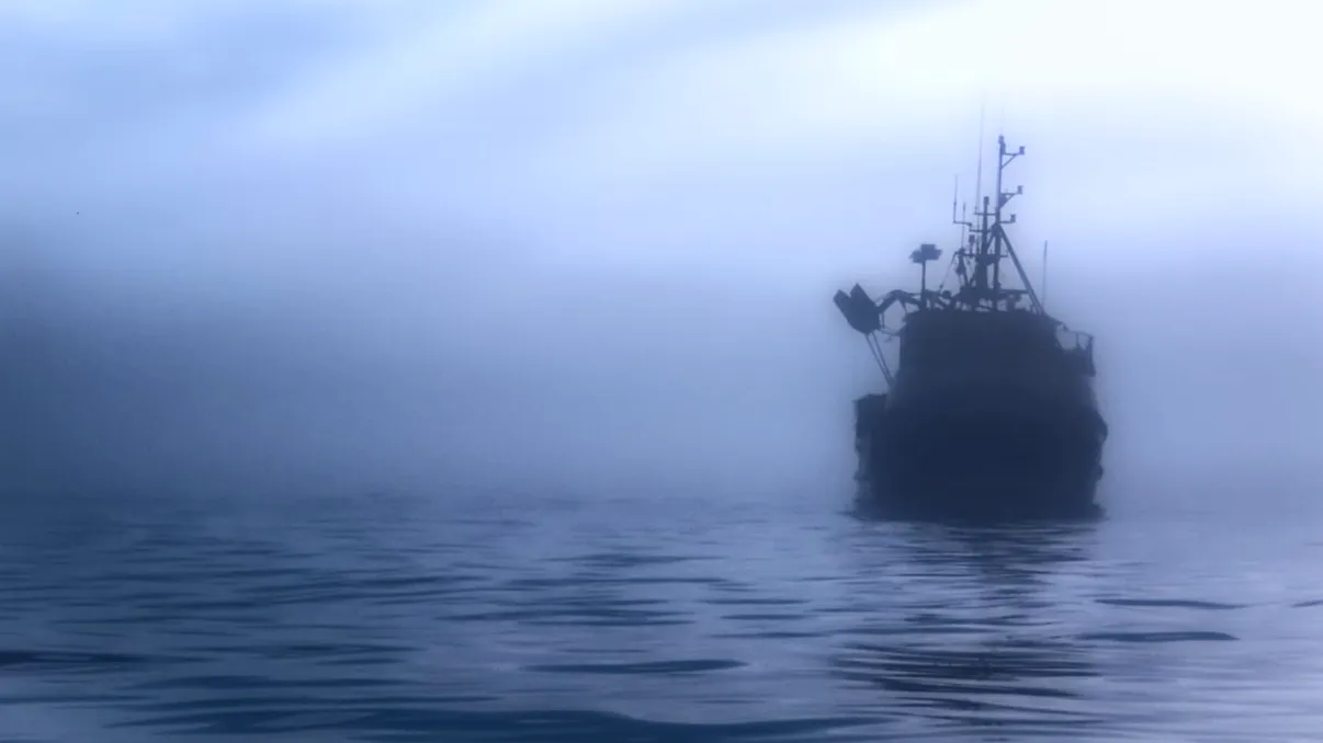 Misterul sunetelor bizare din ocean: O posibilă 