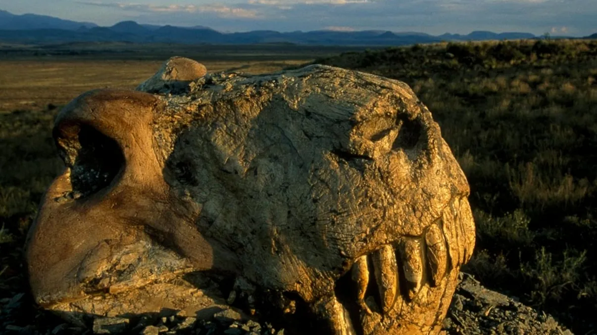 Cea mai mare extincție din istoria Pământului: Marea Moarte de acum 250 de milioane de ani