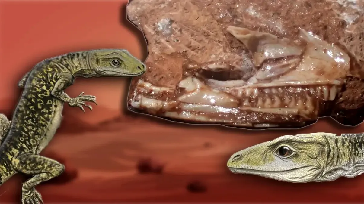 Descoperirea unei șopârle de 205 milioane de ani: Cea mai veche șopârlă modernă din lume